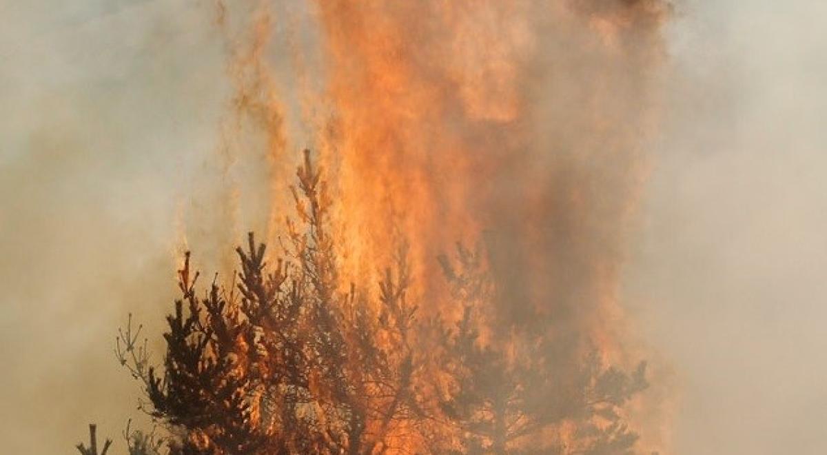 Obligations Légales de Débroussaillement Obligations Légales de Débroussaillement