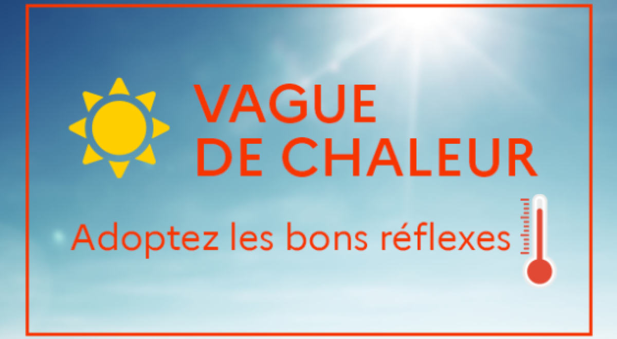 bons réflexes vagues de chaleur