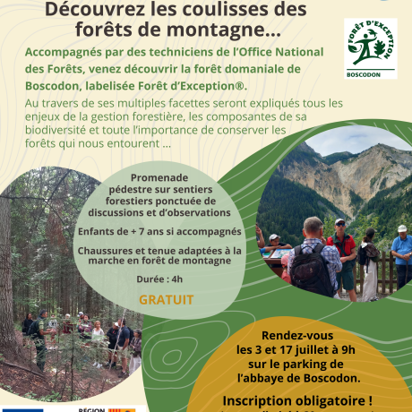 sortie forestière