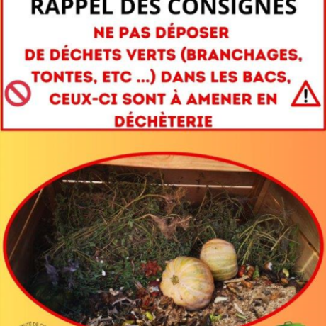 Compostage pas de déchets verts