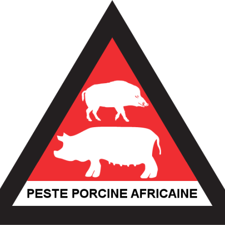 peste porcine africaine